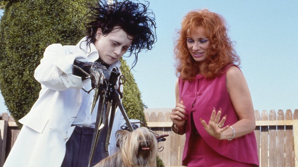 Scene from Edward Scissorhands