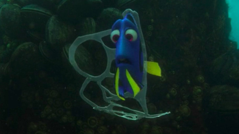 Dory entangled in plastic rings