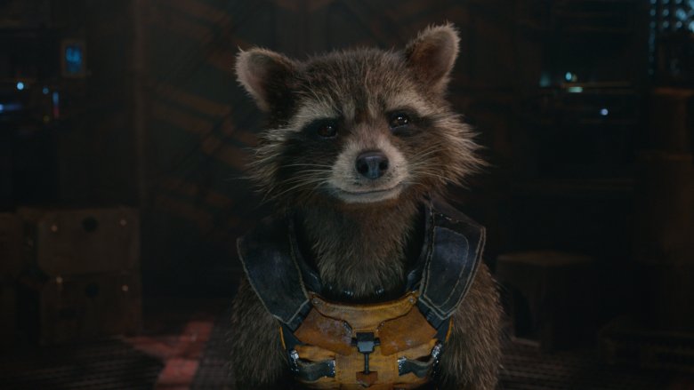 Rocket Raccoon