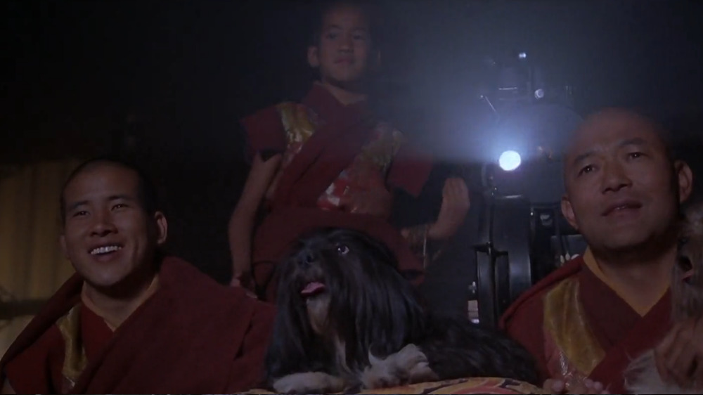 Tibetan monks watching movies