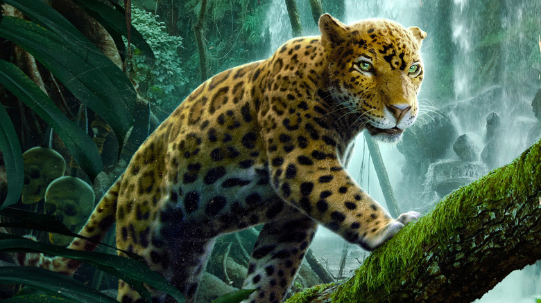The jaguar Proxima from Jungle Cruise