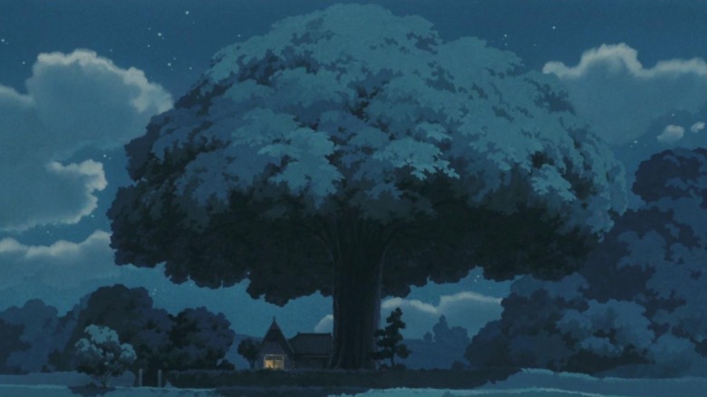 Totoro camphor tree