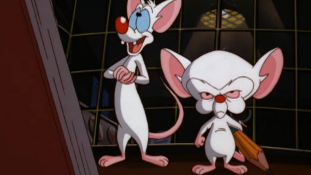 Pinky and the Brain