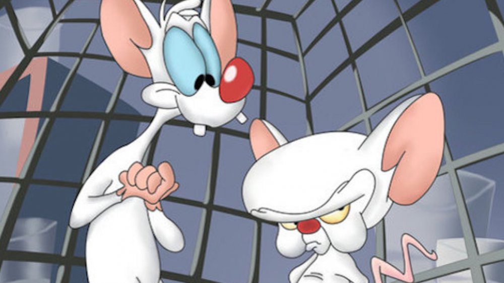 Pinky and the Brain / Video Examples - TV Tropes