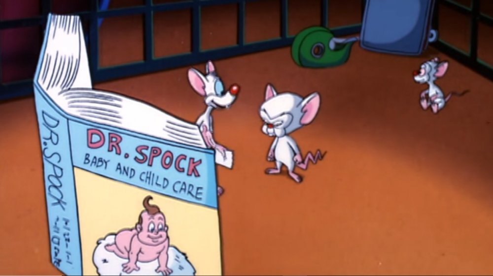 Pinky and the Brain