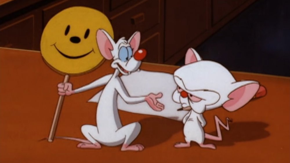 Pinky and the Brain