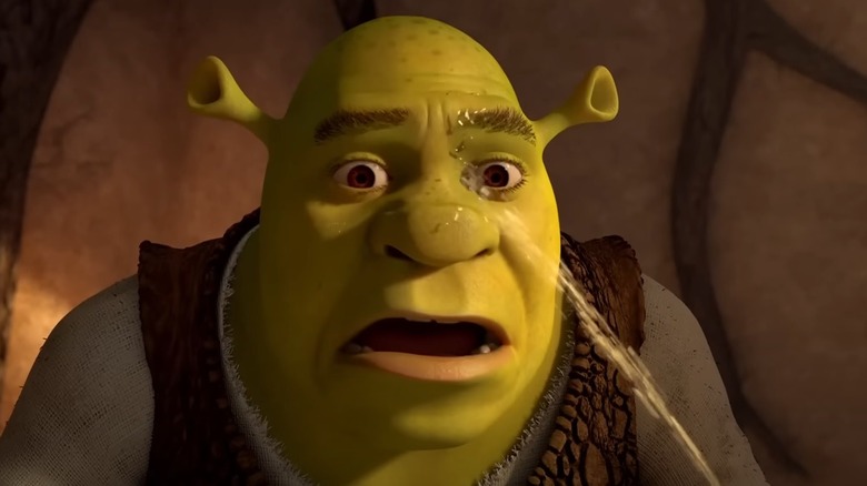 Shrek hit in face with water