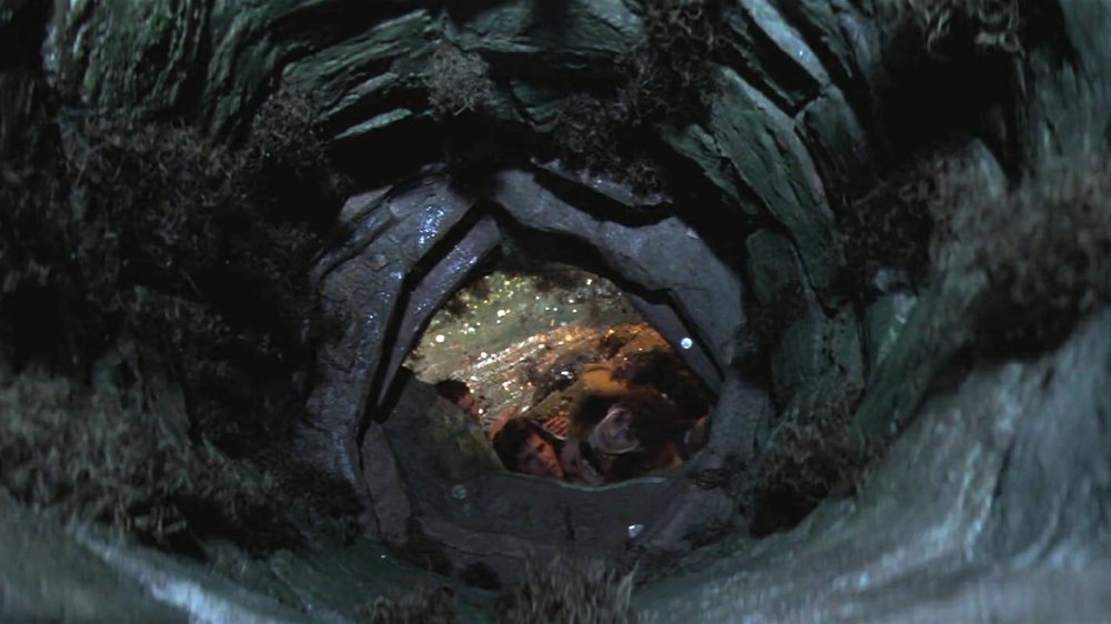 Goonies well shaft