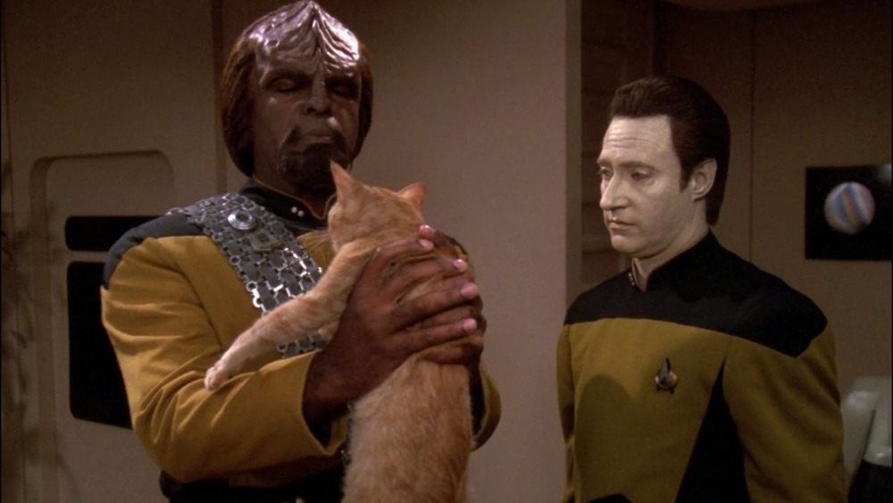 Worf holding Spot