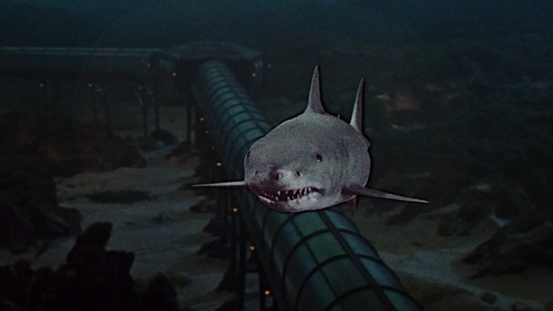 The shark from Jaws 3-D