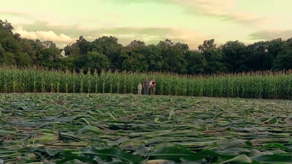 The cornfield in Signs