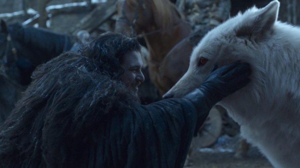 Kit Harington as Jon Snow, petting Ghost in Game of Thrones