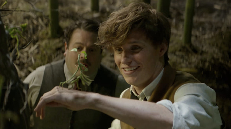 Newt and Jacob looking at bowtruckle