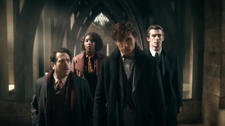 Newt Scamander leading group