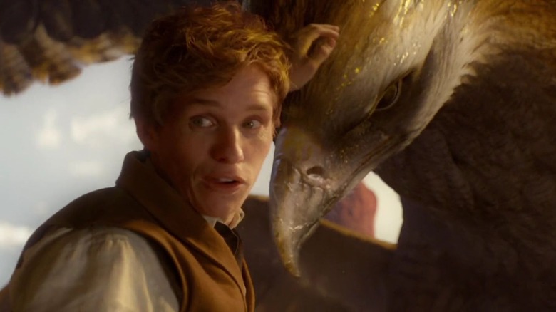 Newt Scamander petting Thunderbird