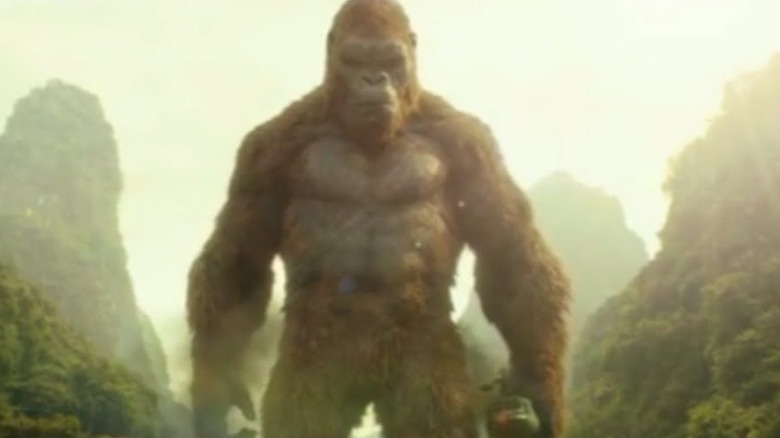 Kong looks peeved