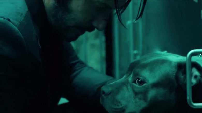 John Wick rescuing dog