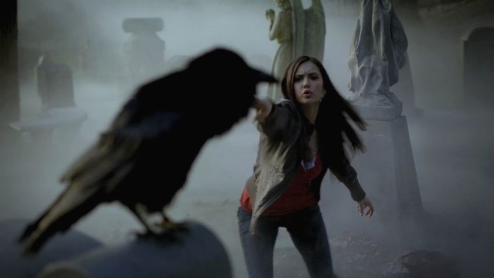 Elena fights a crow