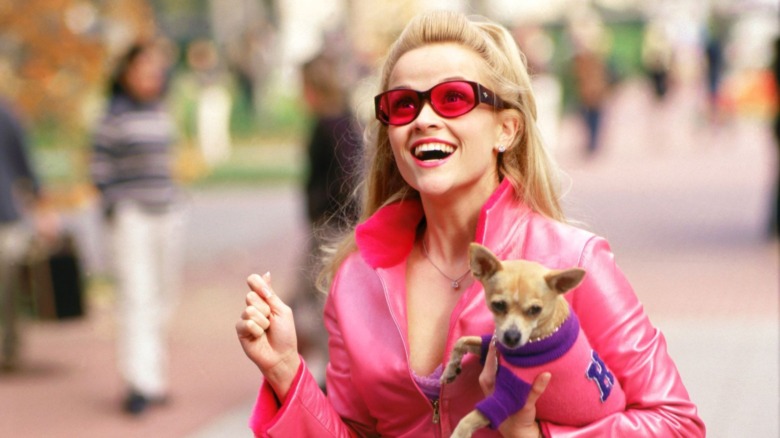 Elle Woods holding Bruiser