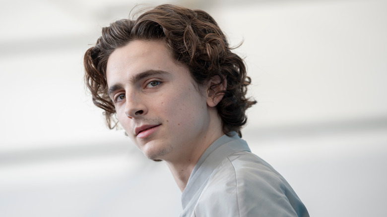 Timothee Chalamet posing for the camera