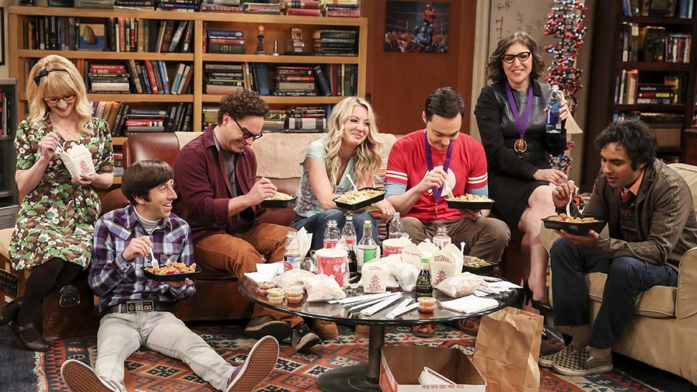 Things You Never Noticed In The Big Bang Theory's Final Episode