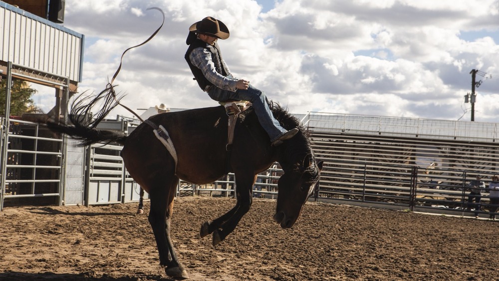 Jimmy rides rodeo