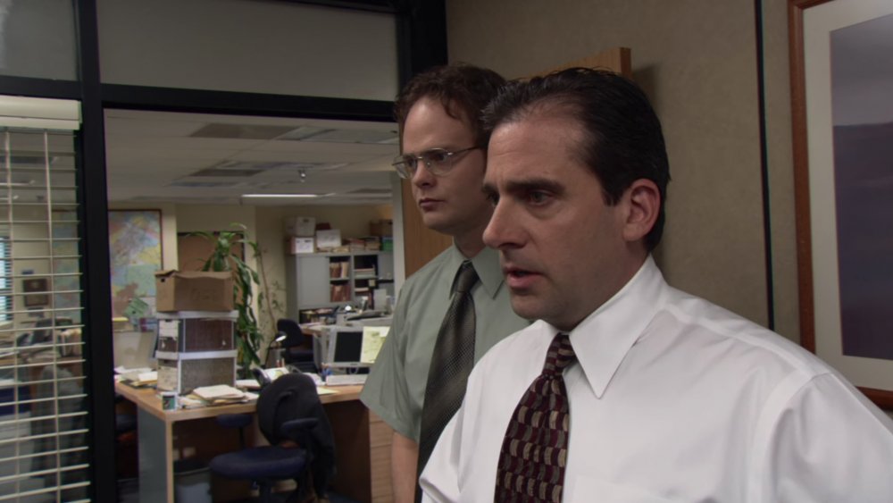 Rainn Wilson and Steve Carell in The Office