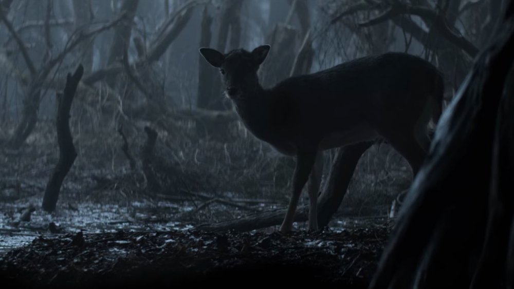 A deer in the first episode of The Witcher