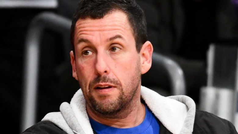 Adam Sandler watches basketball