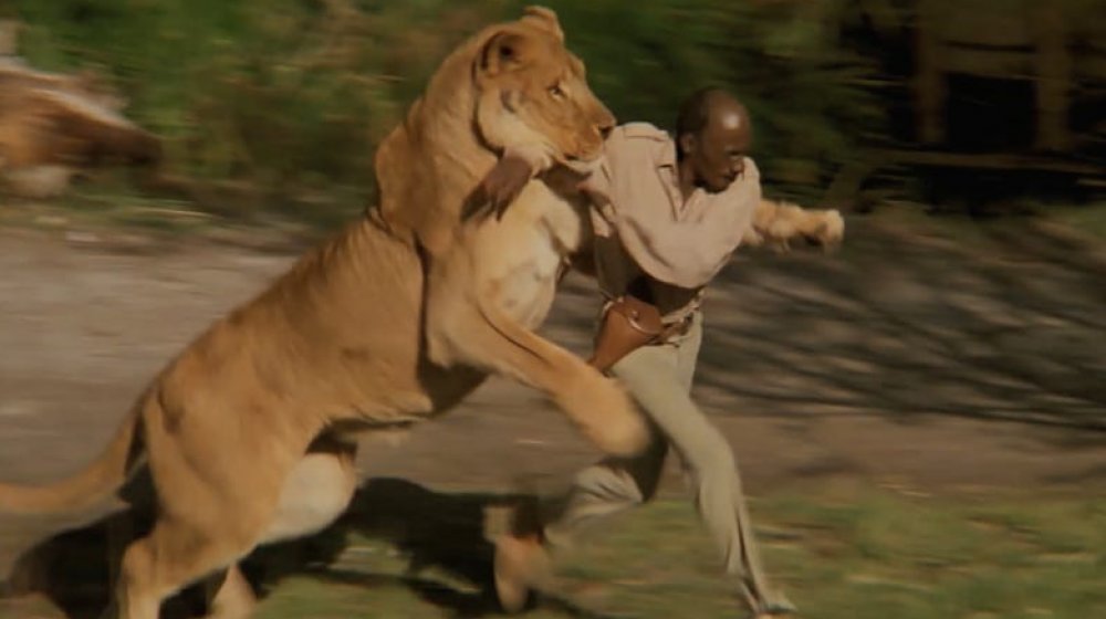 Roar: The Most Dangerous Film Ever Made