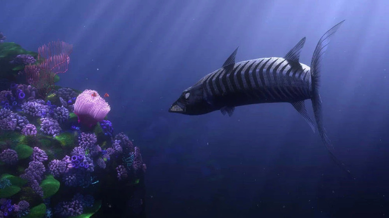 Barracuda stalks clownfish by reef