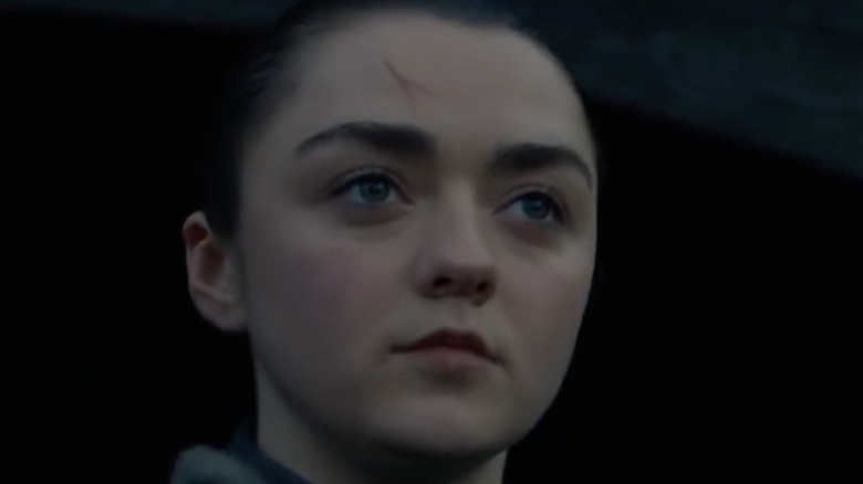 This Is How Arya Stark Is Different In The Game Of Thrones Books