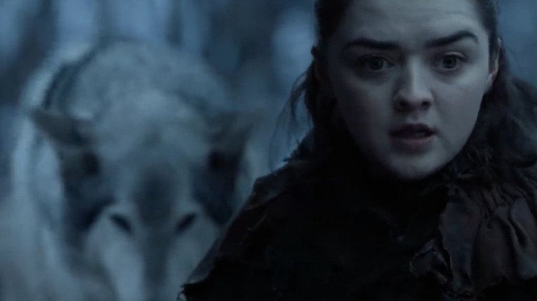 Arya and Nymeria reunited