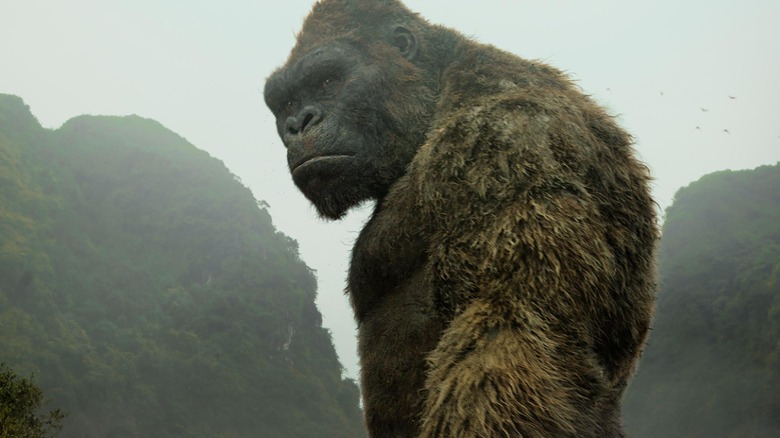 Kong looking over left shoulder Skull Island