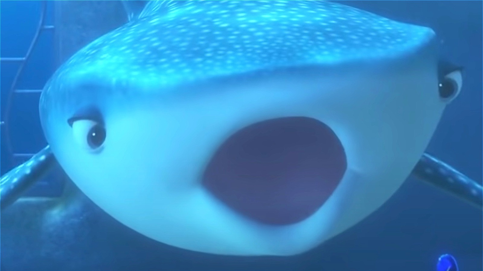 finding nemo inside whale
