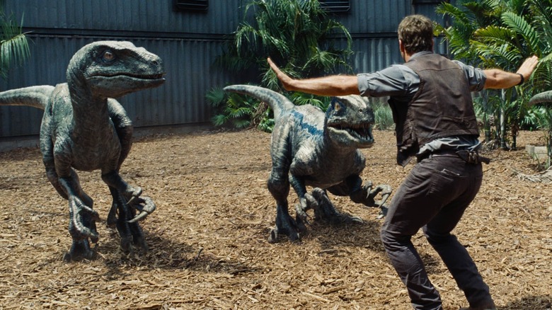 Chris Pratt velociraptors 