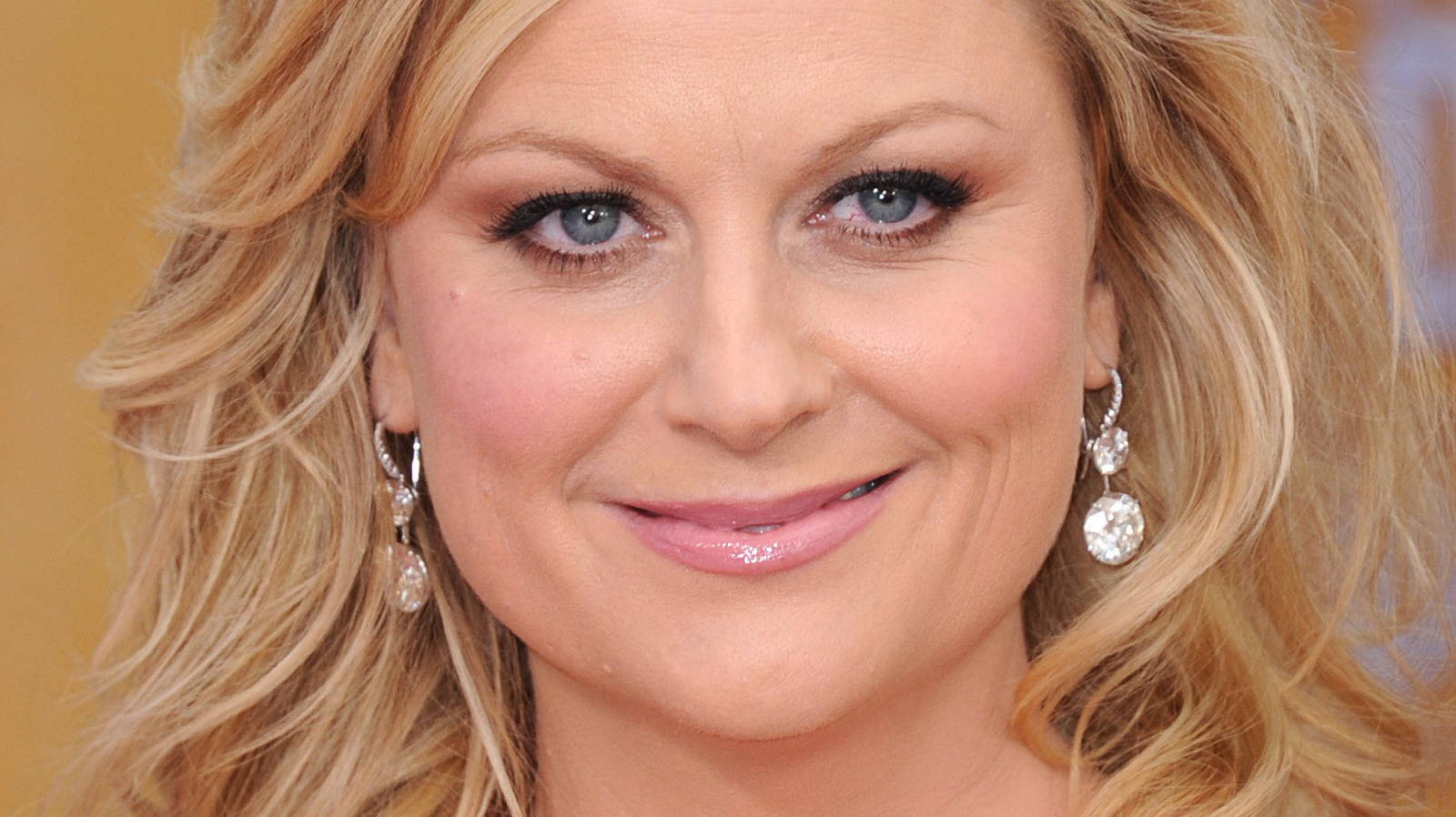 Amy Poehler Fake