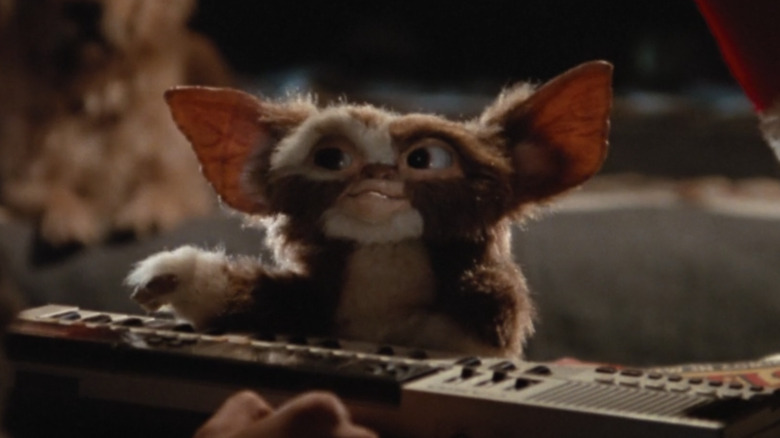 Gizmo plays keyboard