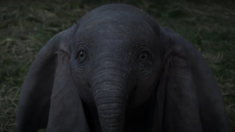 Dumbo looking sad