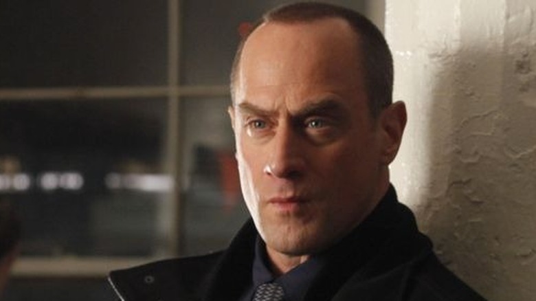 Stabler gazes intently