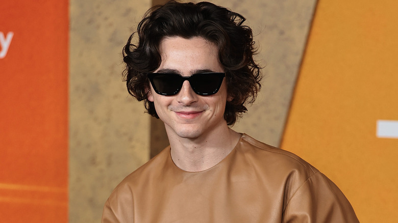 Timothee Chalamet wearing sunglasses