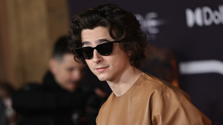 Timothée Chalamet sunglasses