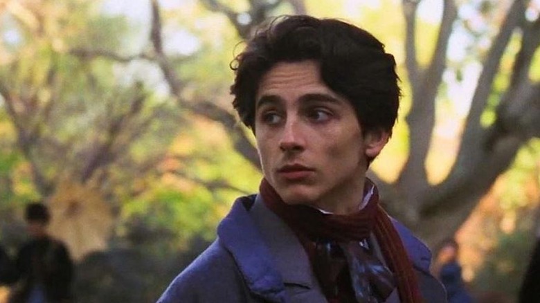 Timothee Chalamet in Little Women