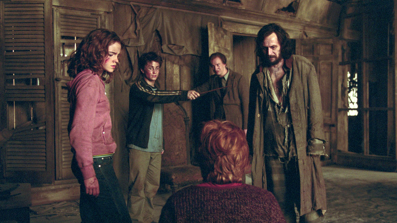 Hermione, Harry, Lupin, Sirius confront Ron
