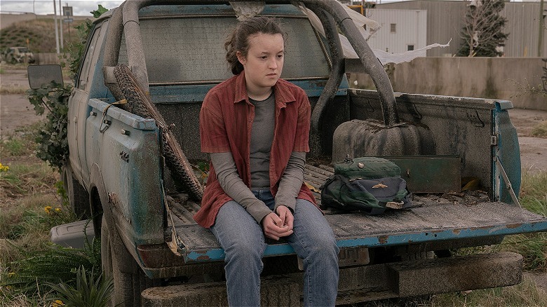 Ellie sitting on the flatbed of a truck