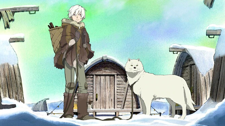 The boy and the white wolf