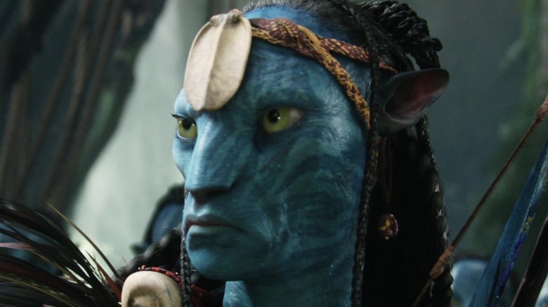 The Na'vi Eytukan looks stern