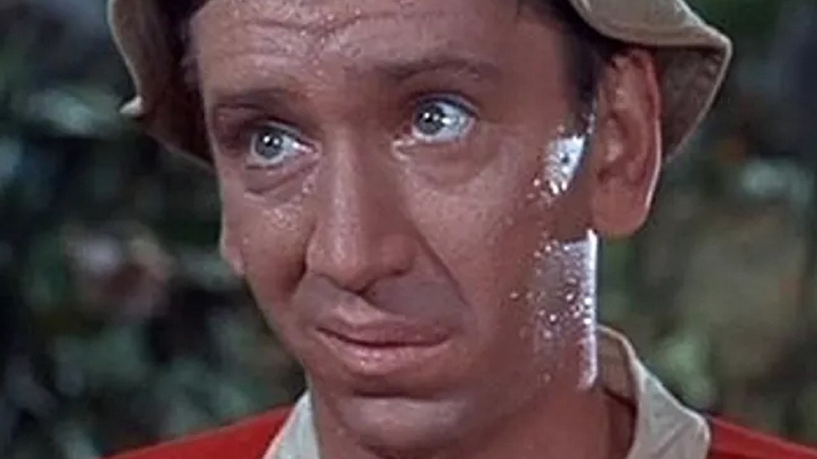 Tragic Details About The Gilligan S Island Cast