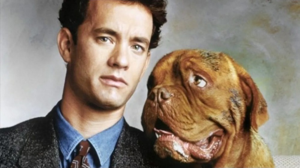 Tom Hanks and Mastiff co-star in Turner & Hooch (1989)