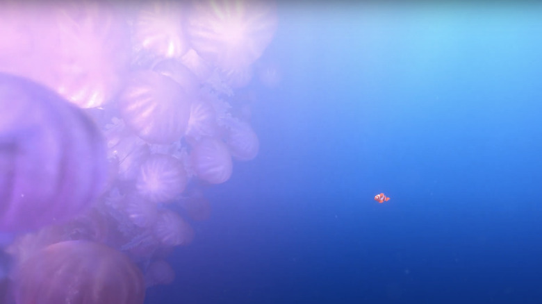 A collection of jellyfish in Finding Nemo